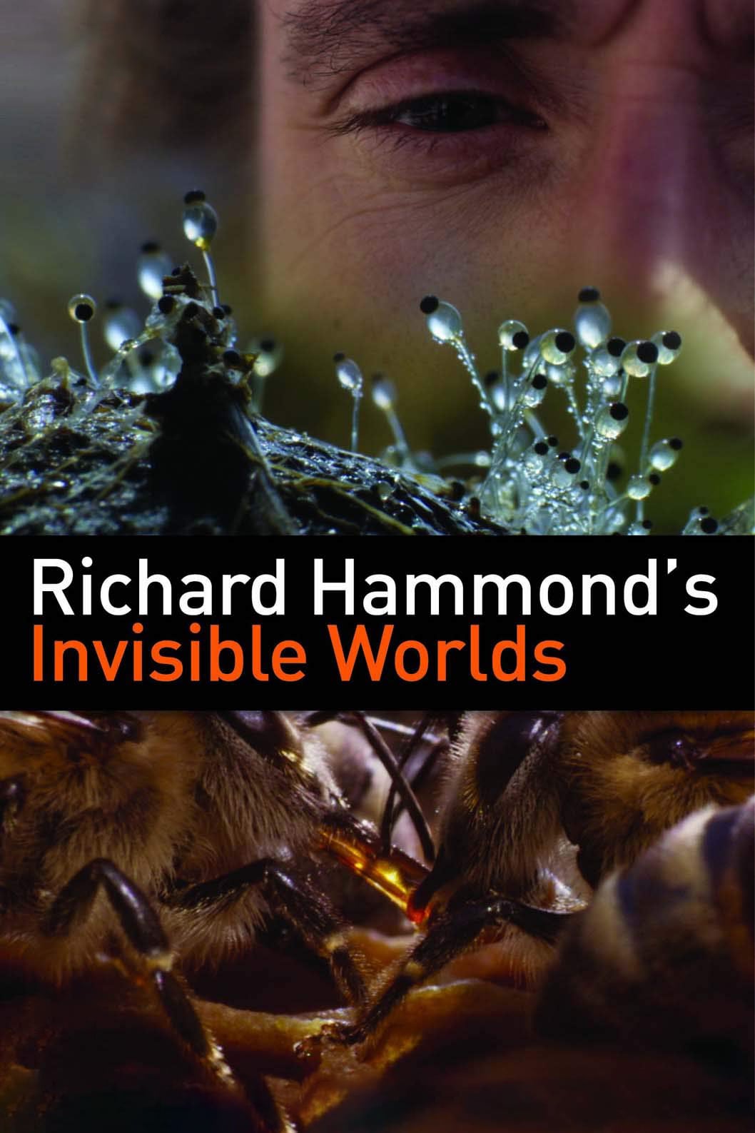 Les Mondes Invisibles avec Richard Hammond