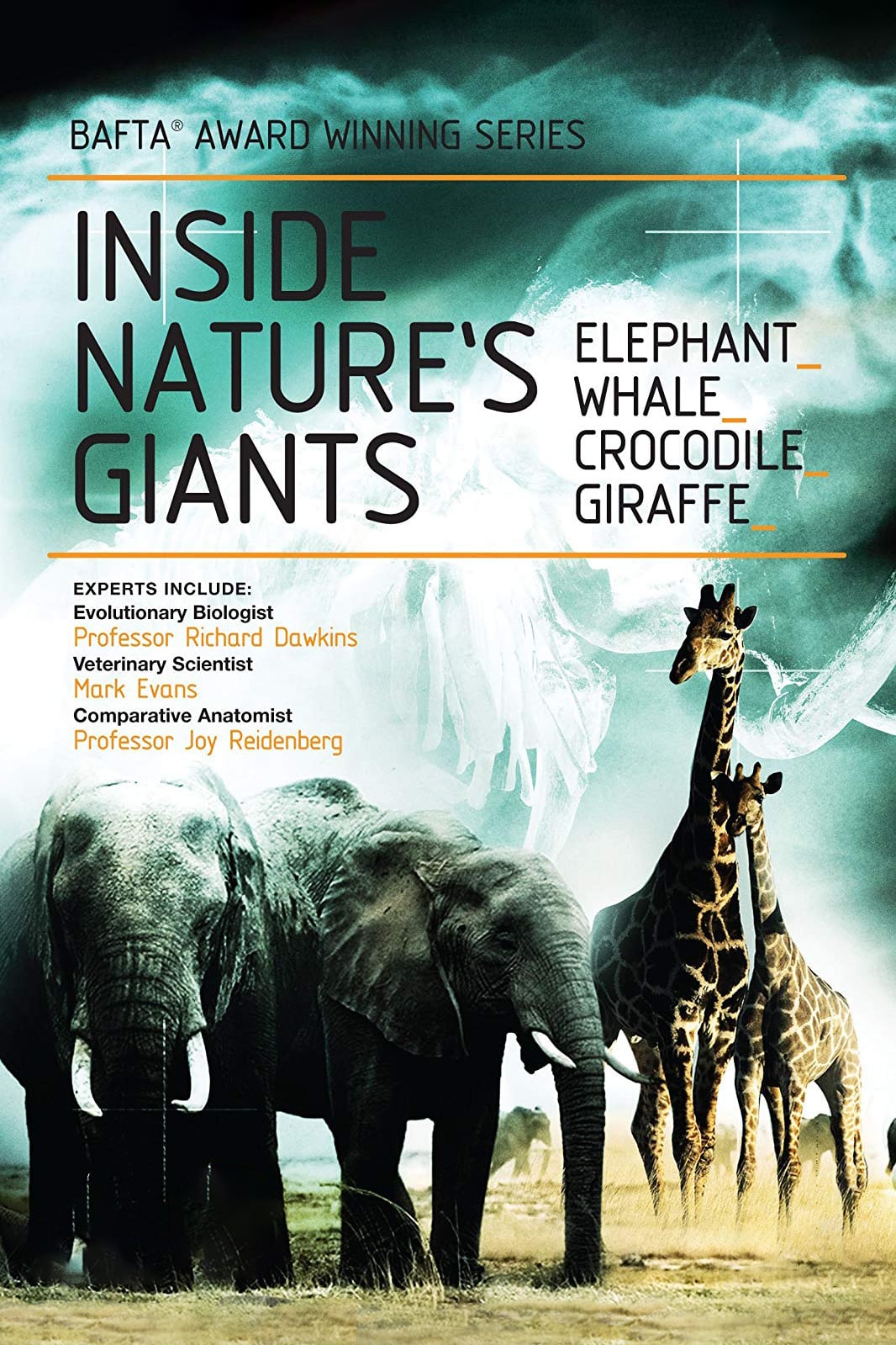 Inside Nature's Giants