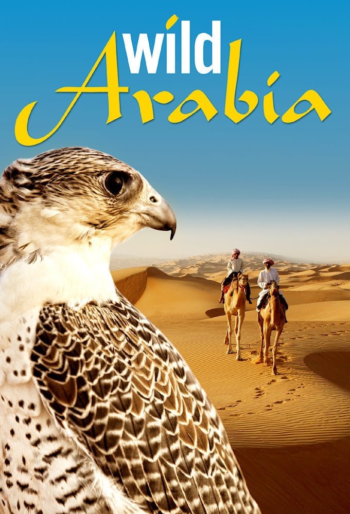 L'Arabie, terre d'éternité