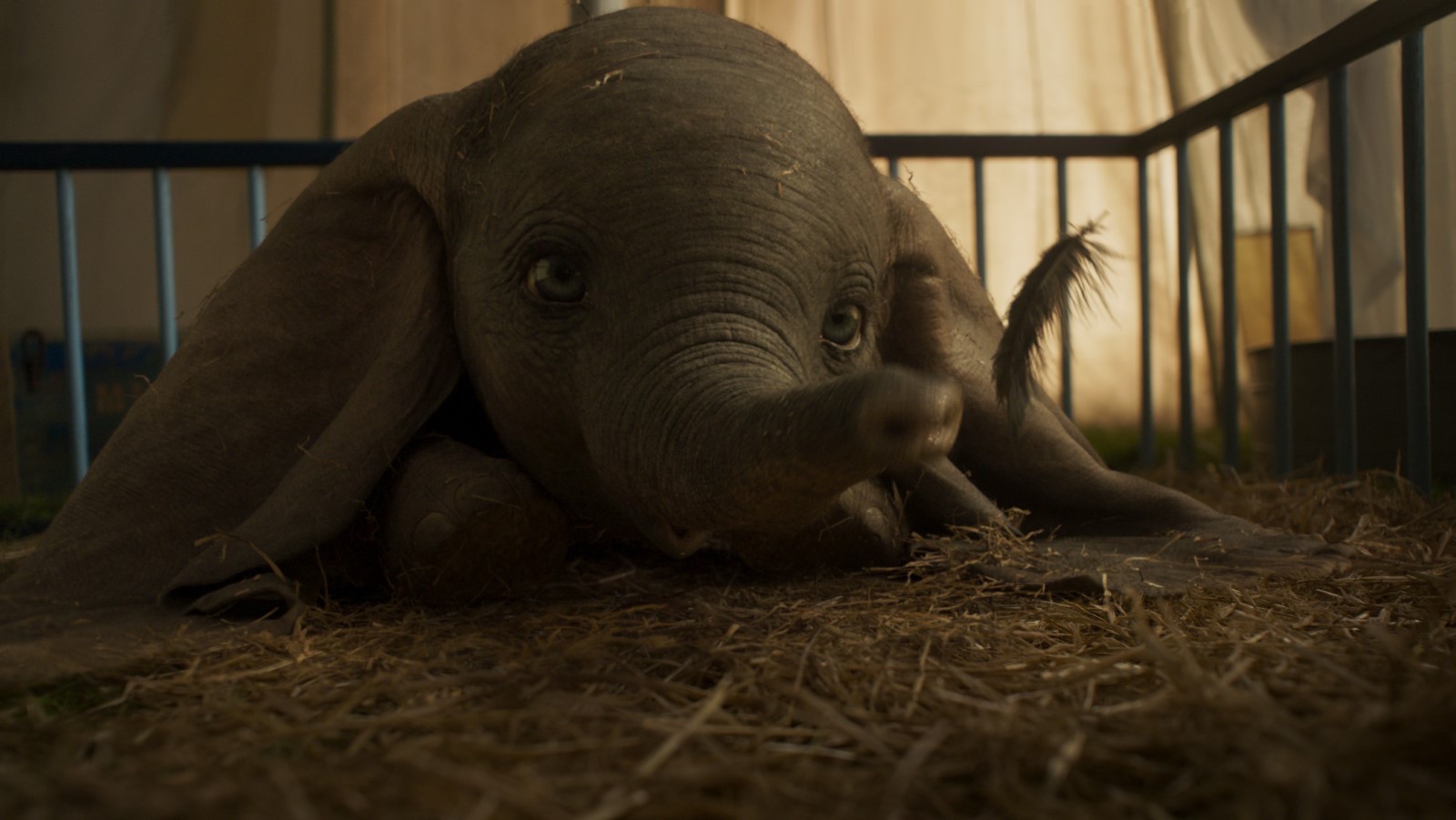 Dumbo de Tim Burton : découvrez le nouveau poster