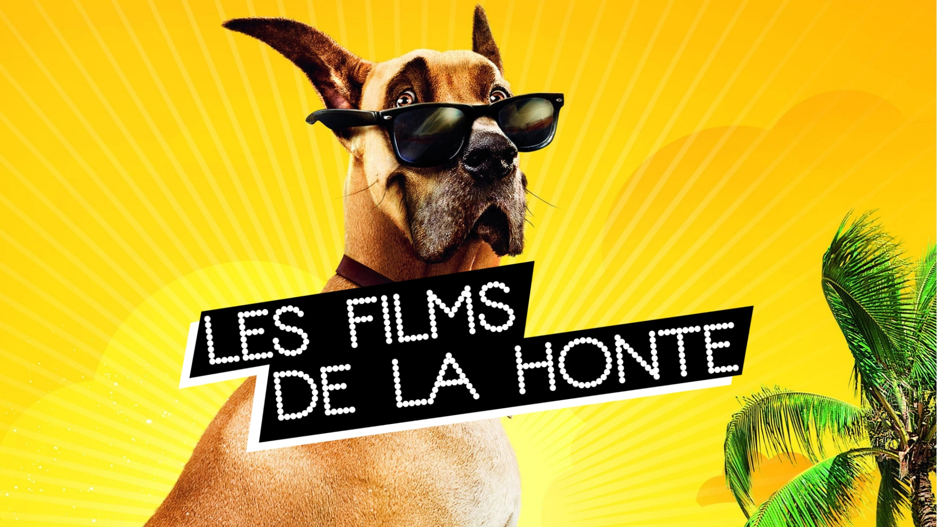 #LesFilmsDeLaHonte : caressons Marmaduke dans le sens du poil