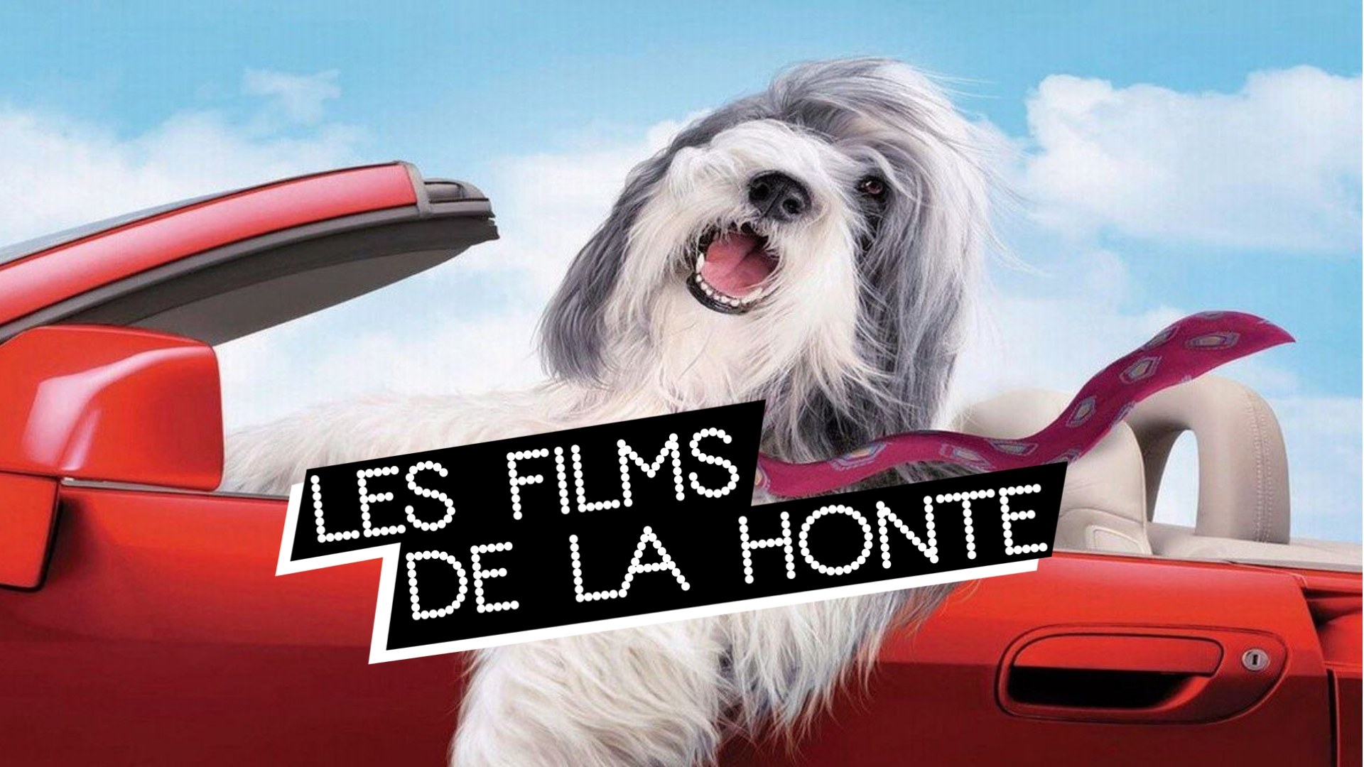#LesFilmsDeLaHonte : secourons Raymond, meilleur ami de l’homme
