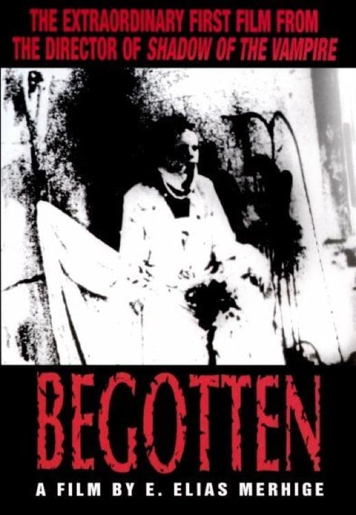 Begotten