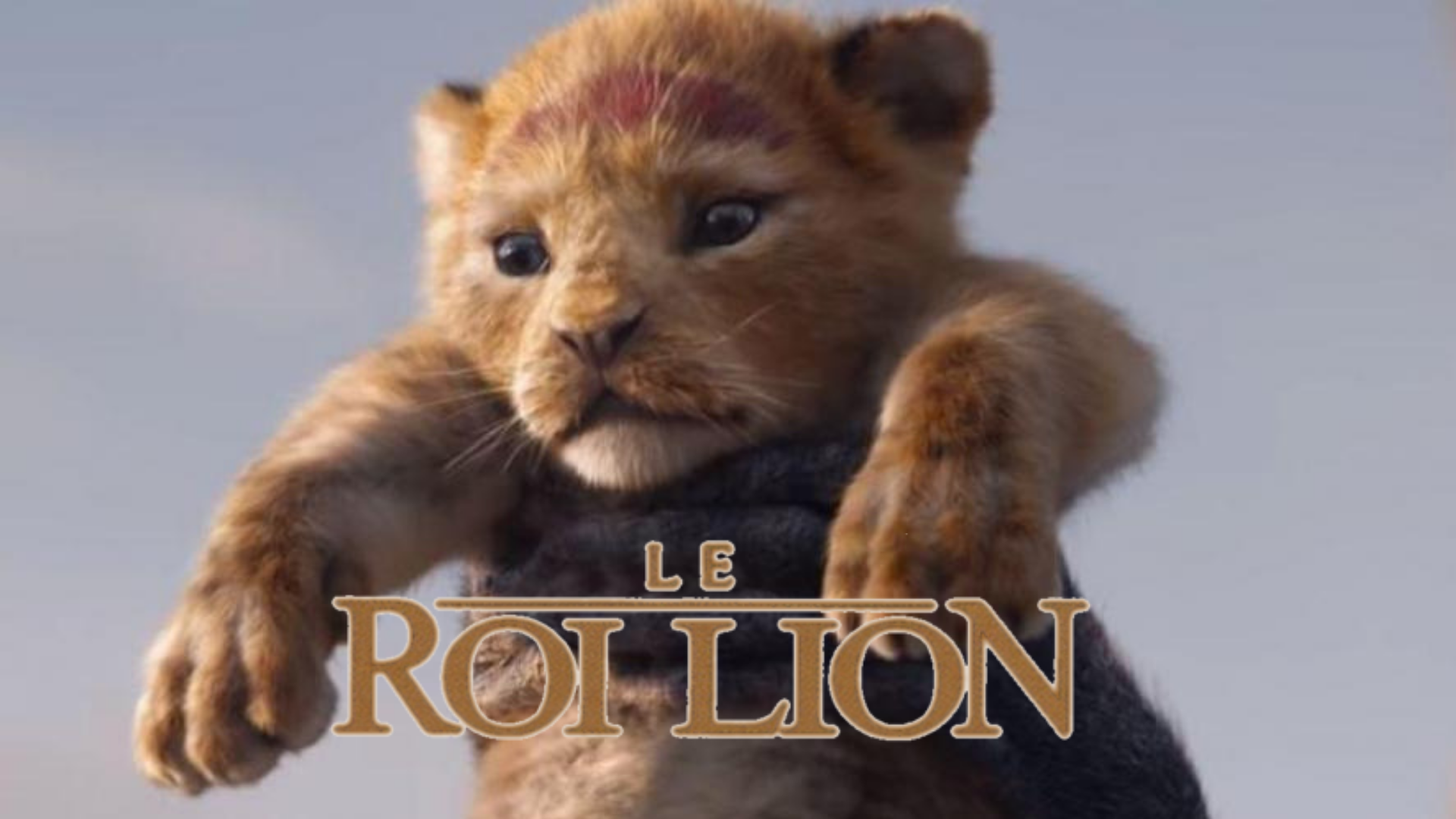 Le Roi Lion : Disney dévoile des nouvelles images du live action