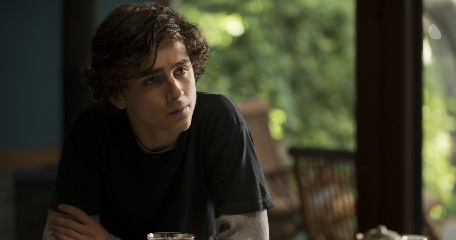 My Beautiful Boy : beautiful Timothée Chalamet