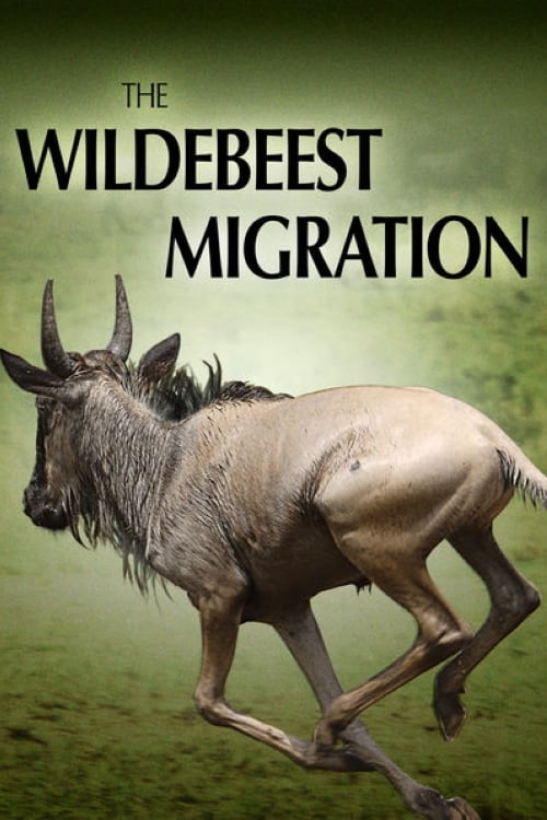 The Wildebeest Migration: Nature's Greatest Journey