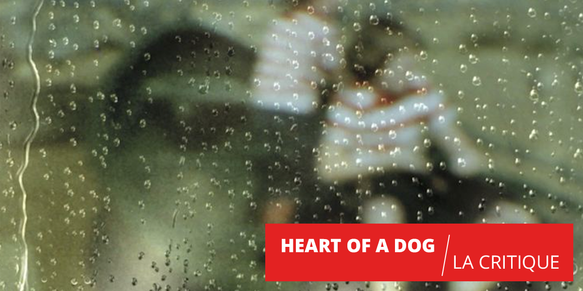 Heart of a Dog : à ces absents pour toujours