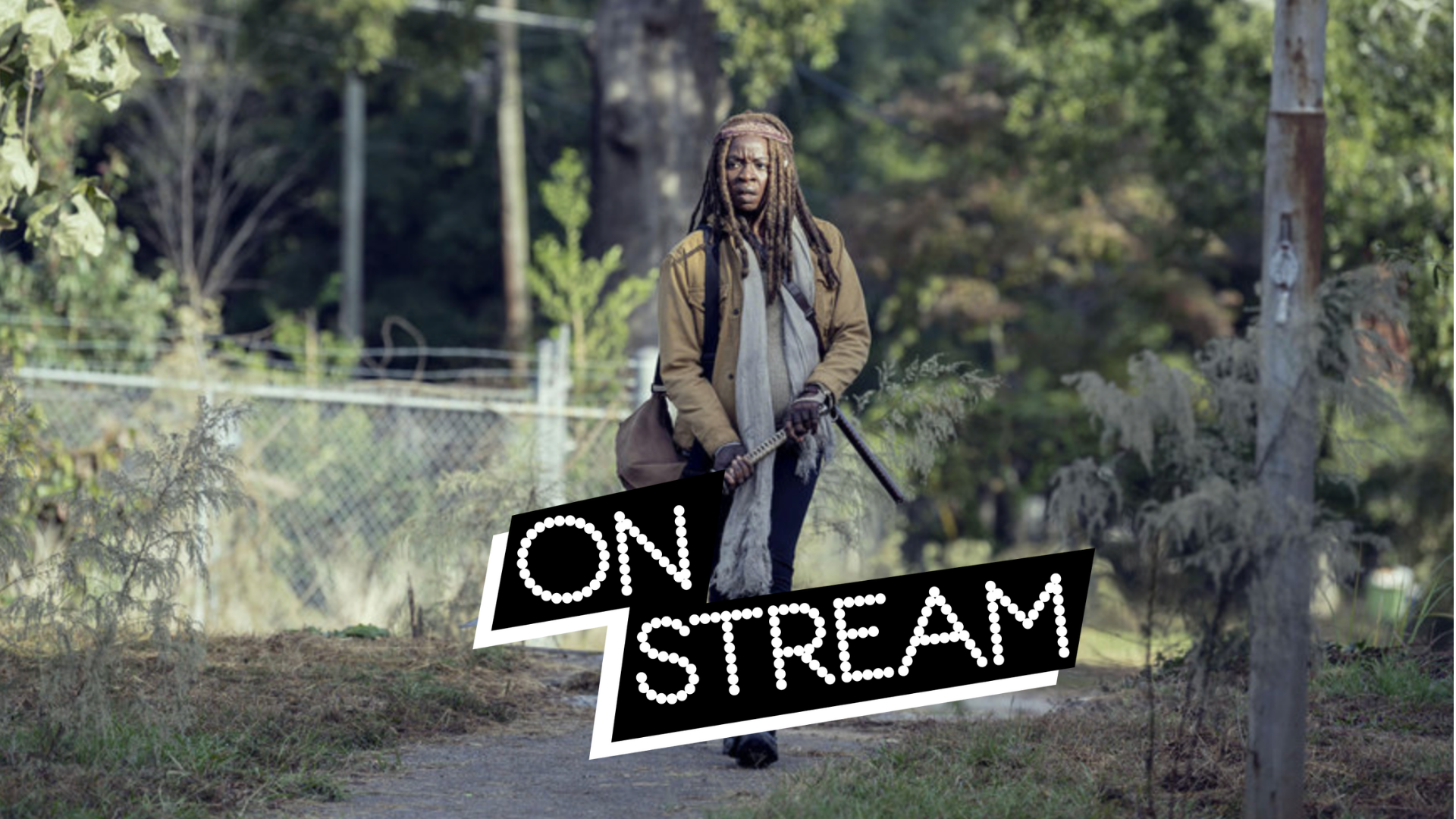 The Walking Dead S9 : découvrez le passé de Michonne dans l'ep14