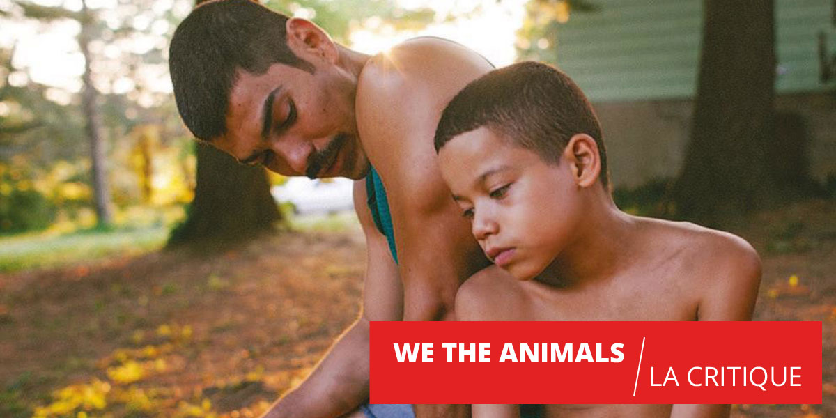 We The Animals : le nouveau Moonlight ?