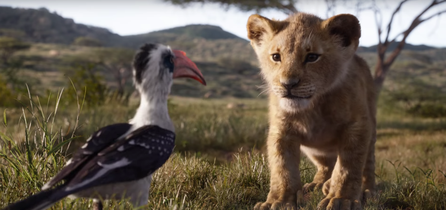 Le Roi Lion : Scar, Timon et Pumbaa se montrent enfin