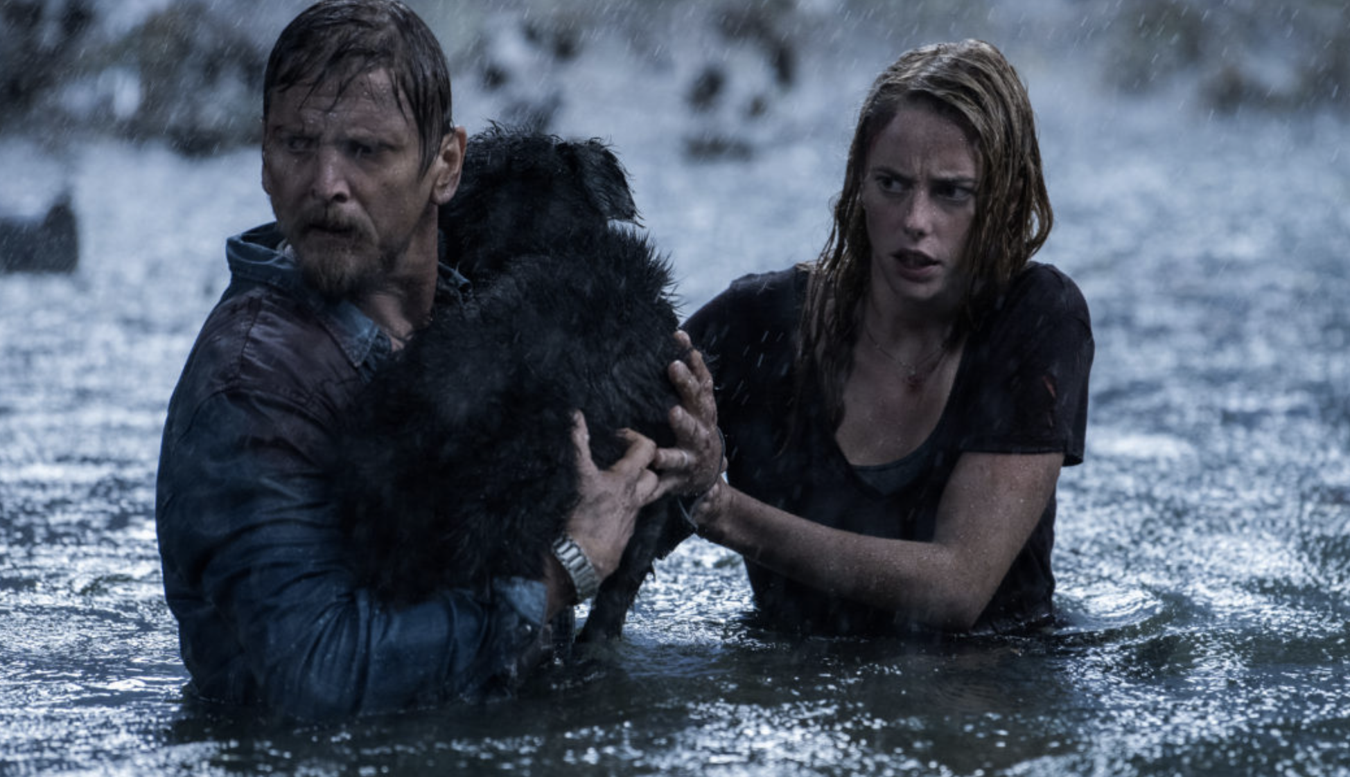 Crawl : premières photos du nouveau Alexandre Aja