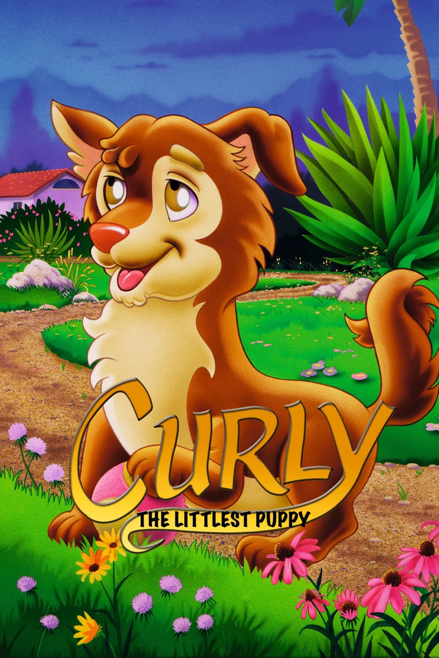 Curly le petit chien