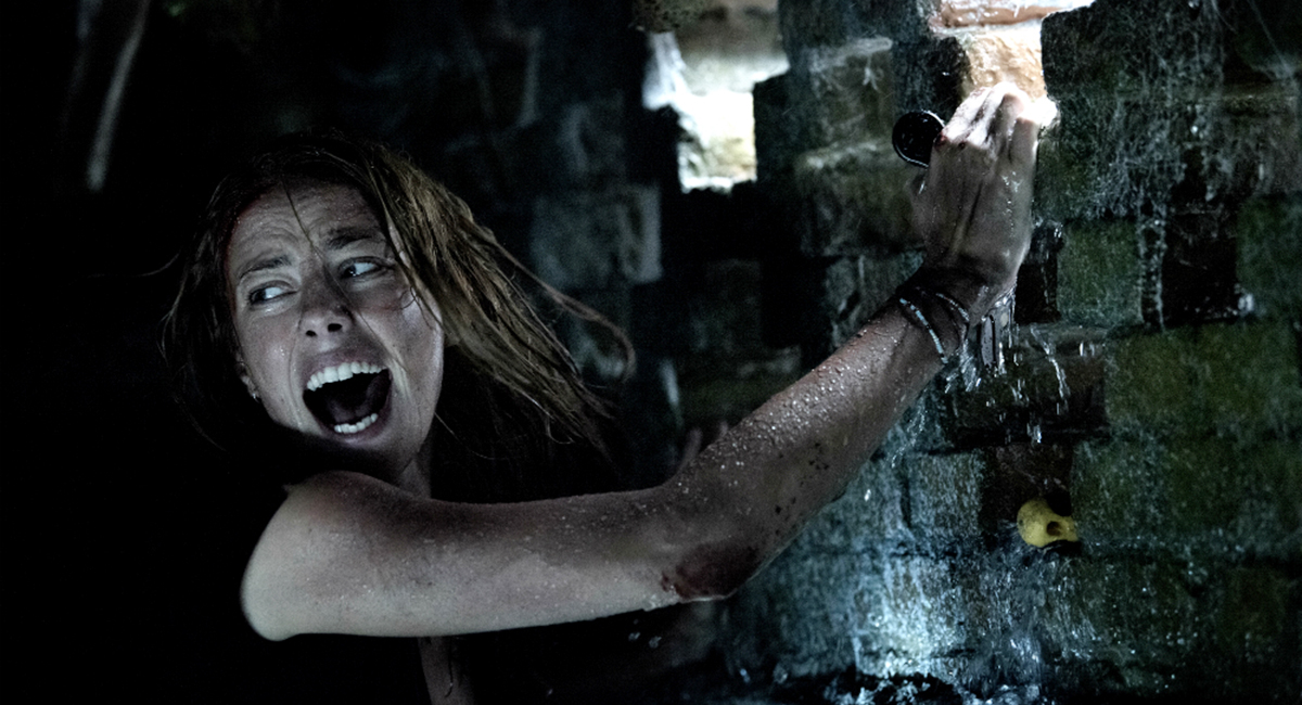 Crawl : trailer sous haute tension pour le nouveau film d'horreur d'Alexandre Aja