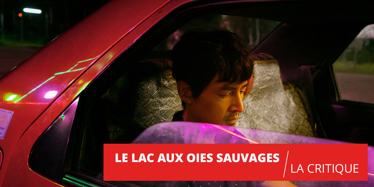 Le Lac aux oies sauvages : une splendeur visuelle renversante