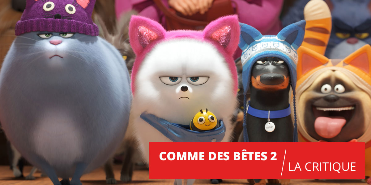 Comme des Bêtes 2 : retour classique pour les animaux de compagnie