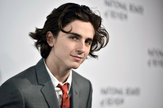 The King (Netflix) : première image de Timothee Chalamet en Henry V
