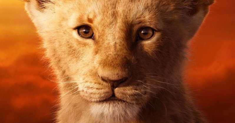 Le Roi Lion : découvrez les voix françaises du nouveau film - CinéSérie