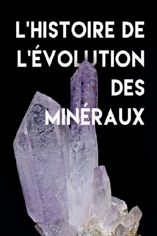 L'histoire de l'évolution des minéraux