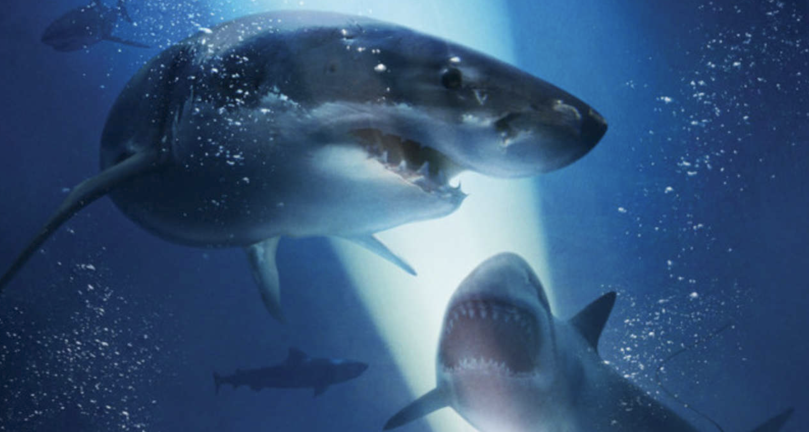 47 Meters Down 2 : les requins attaquent dans le dernier trailer