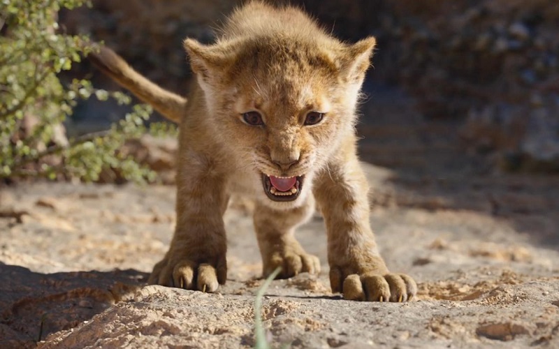 Le Roi Lion dépasse Endgame et devient le plus gros succès de l'année en France