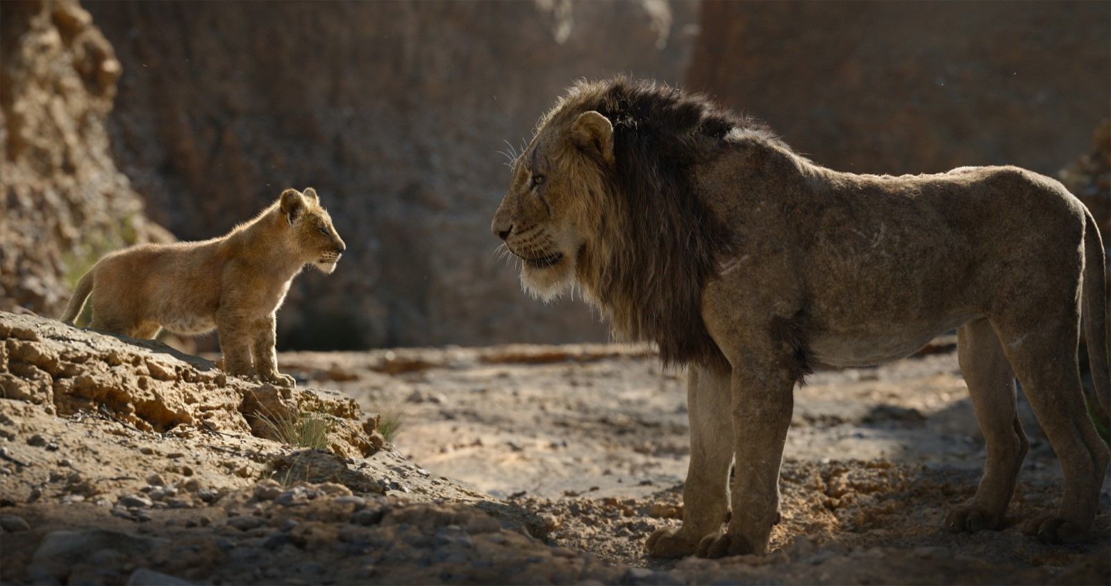 Le Roi Lion entre dans le top 10 des plus gros succès de l'histoire