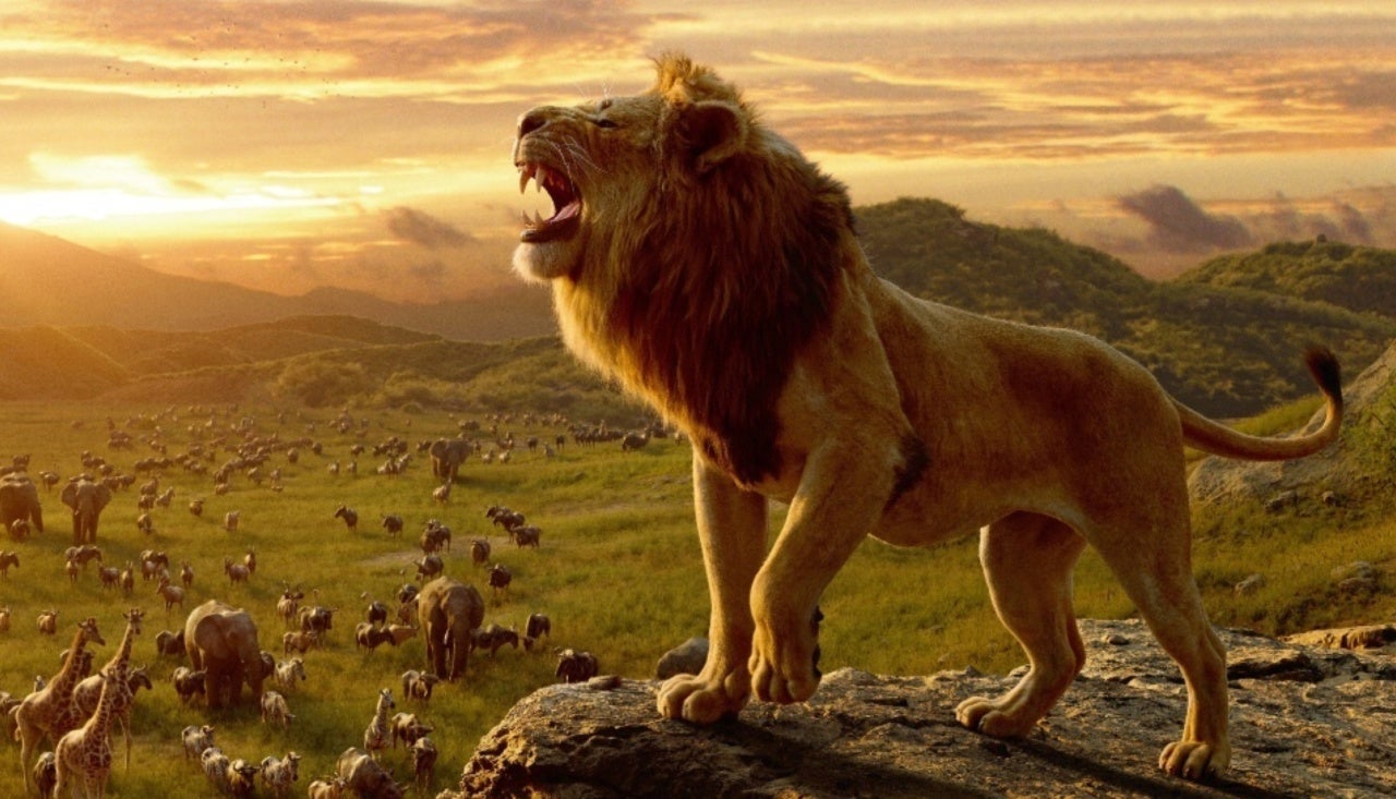 Le Roi Lion : le Steelbook Blu-ray 4K est déjà disponible en précommande