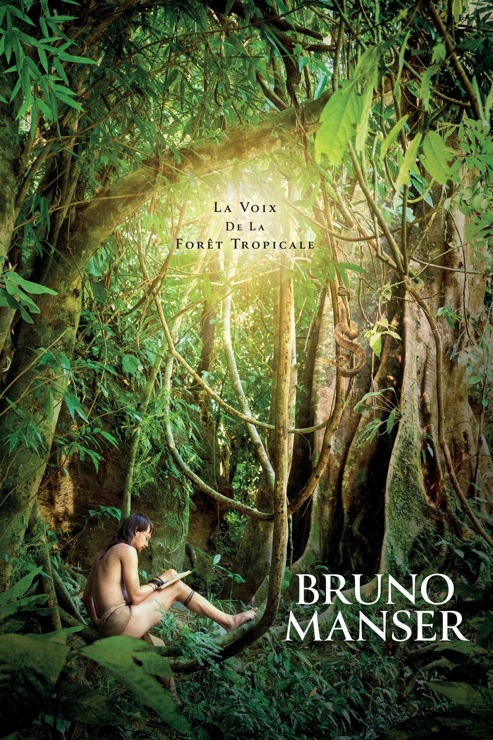 Bruno Manser : La Voix de la Forêt Tropicale
