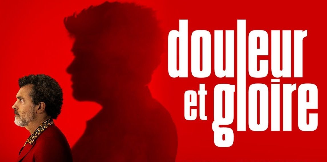 Douleur et gloire : l'édition limitée spéciale Fnac DVD et Blu-ray