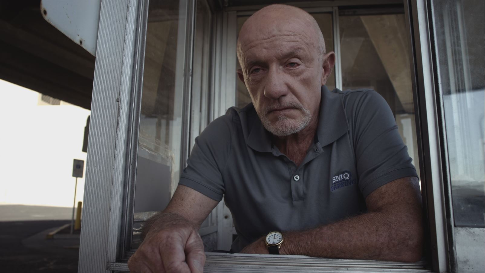 Mike Ehrmantraut est bien dans le film Breaking Bad