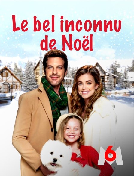 Le bel inconnu de Noël