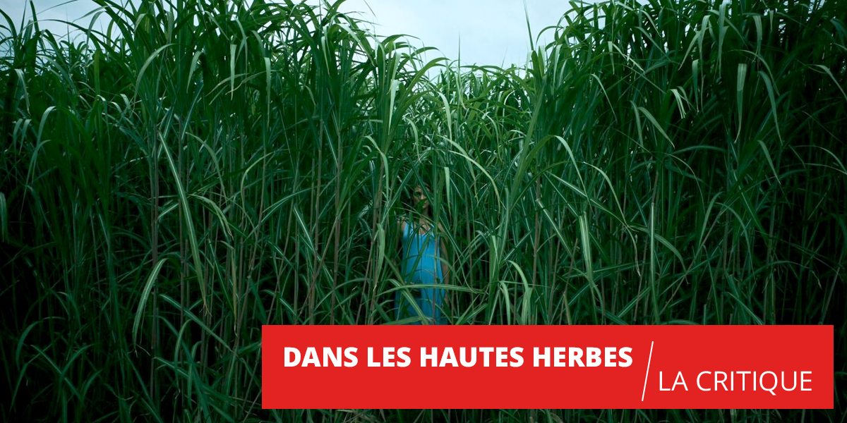 Dans Les Hautes Herbes : entrez dans le champ sur Netflix