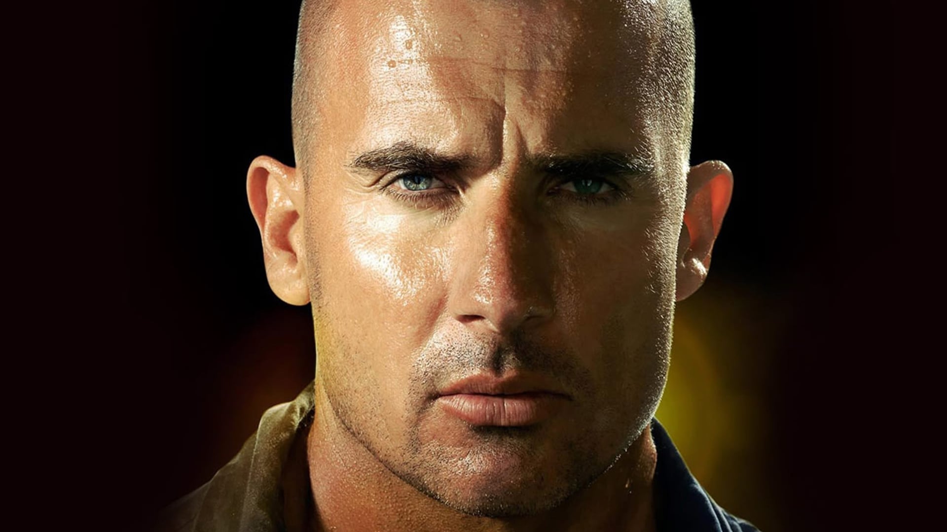 Que devient Dominic Purcell (Prison Break) ?