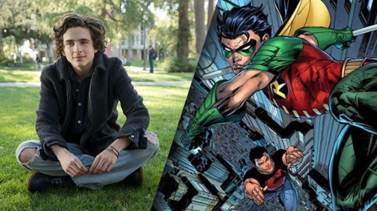 Timothée Chalamet est partant pour interpréter Robin dans l'univers DC