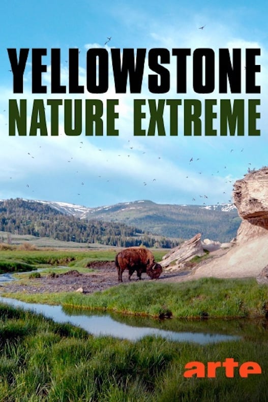 Yellowstone - Nature extrême