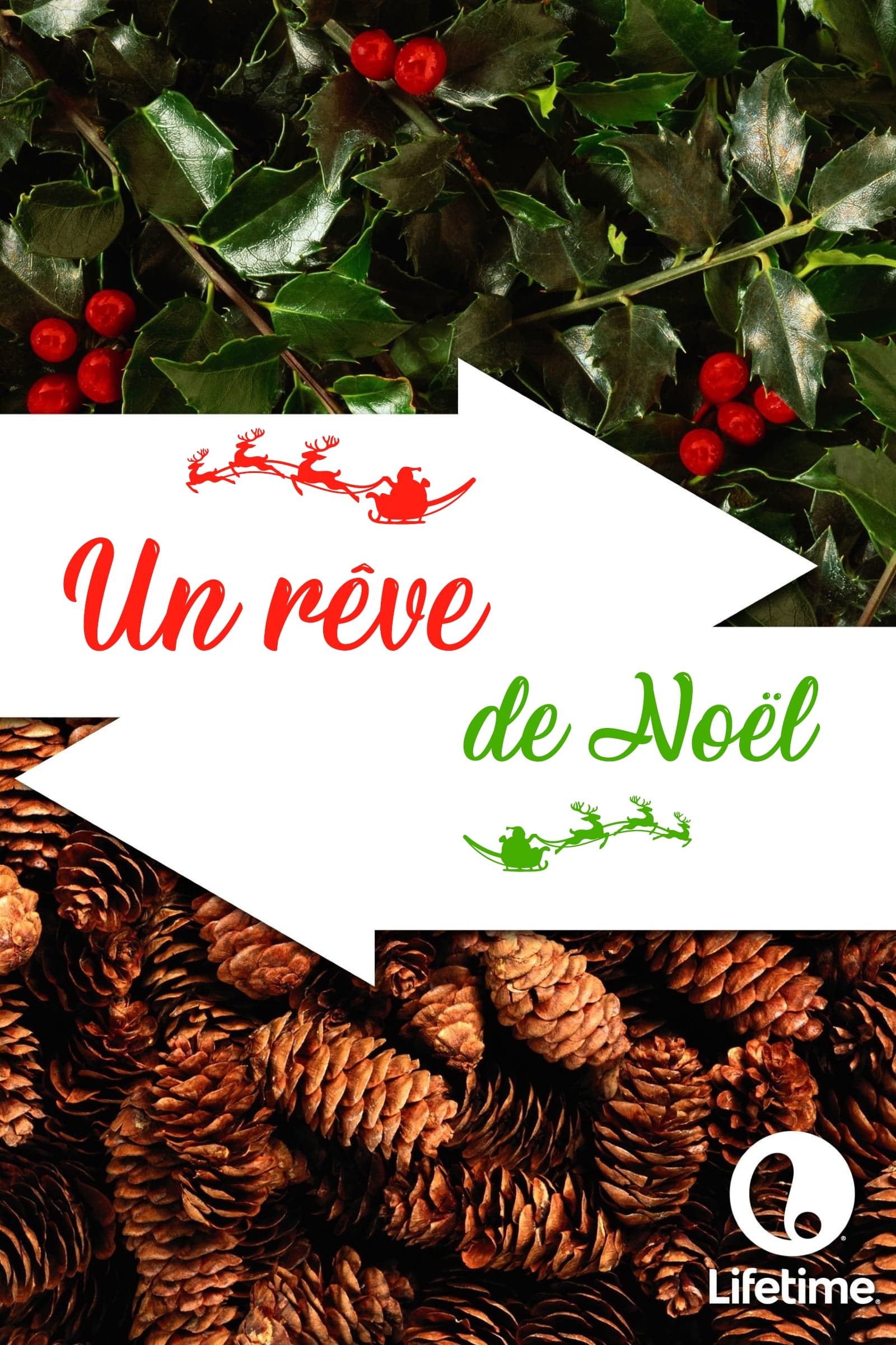 Un rêve de Noël