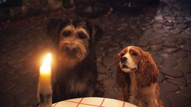 Live action La Belle et le Clochard : une scène culte dévoilée