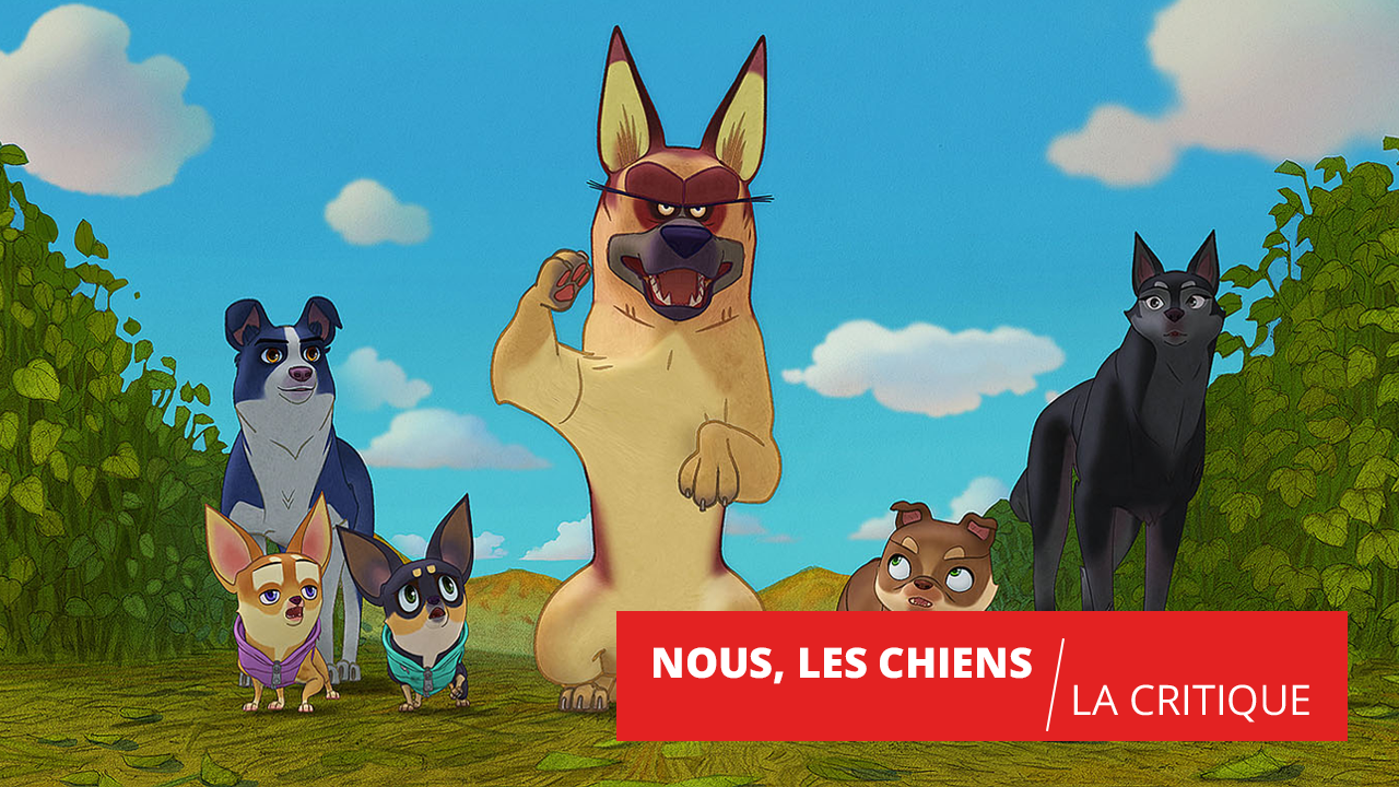 Nous les chiens : face à l’abandon les chiens se serrent les pattes