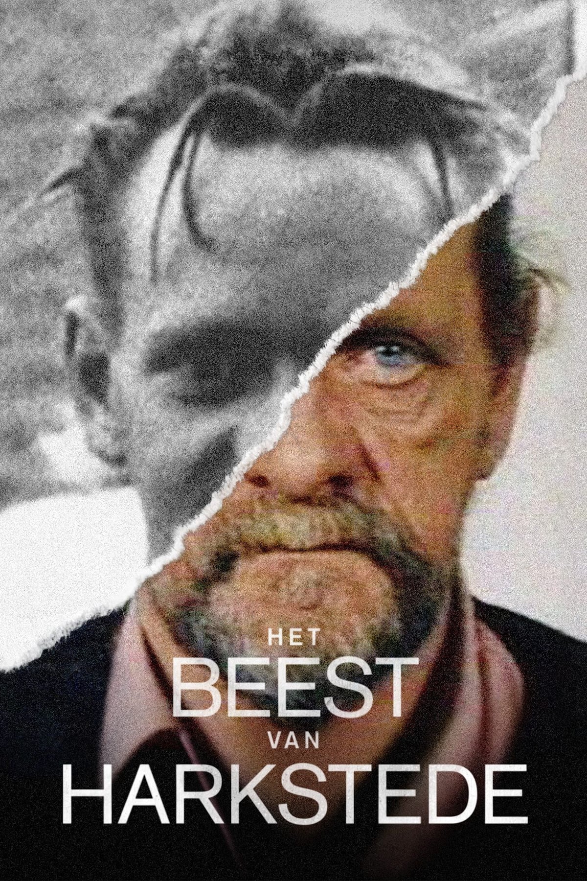 Het Beest van Harkstede