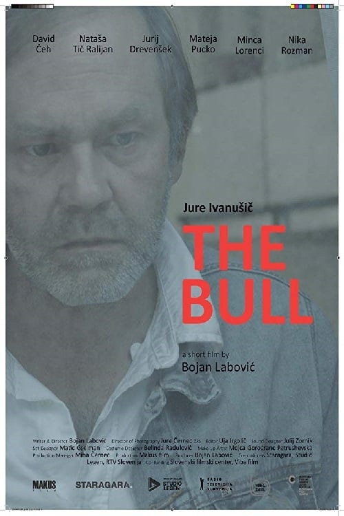 The Bull