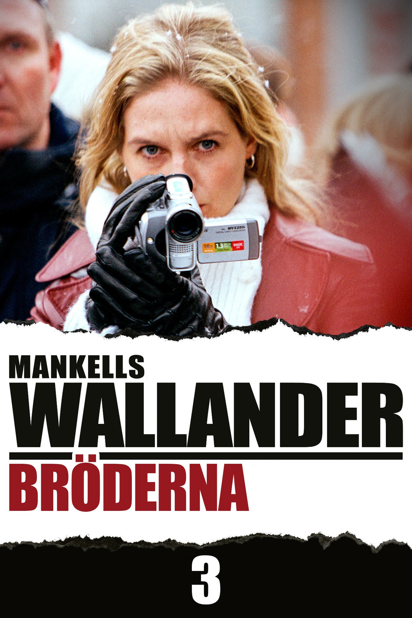 Wallander 03 - The Brothers