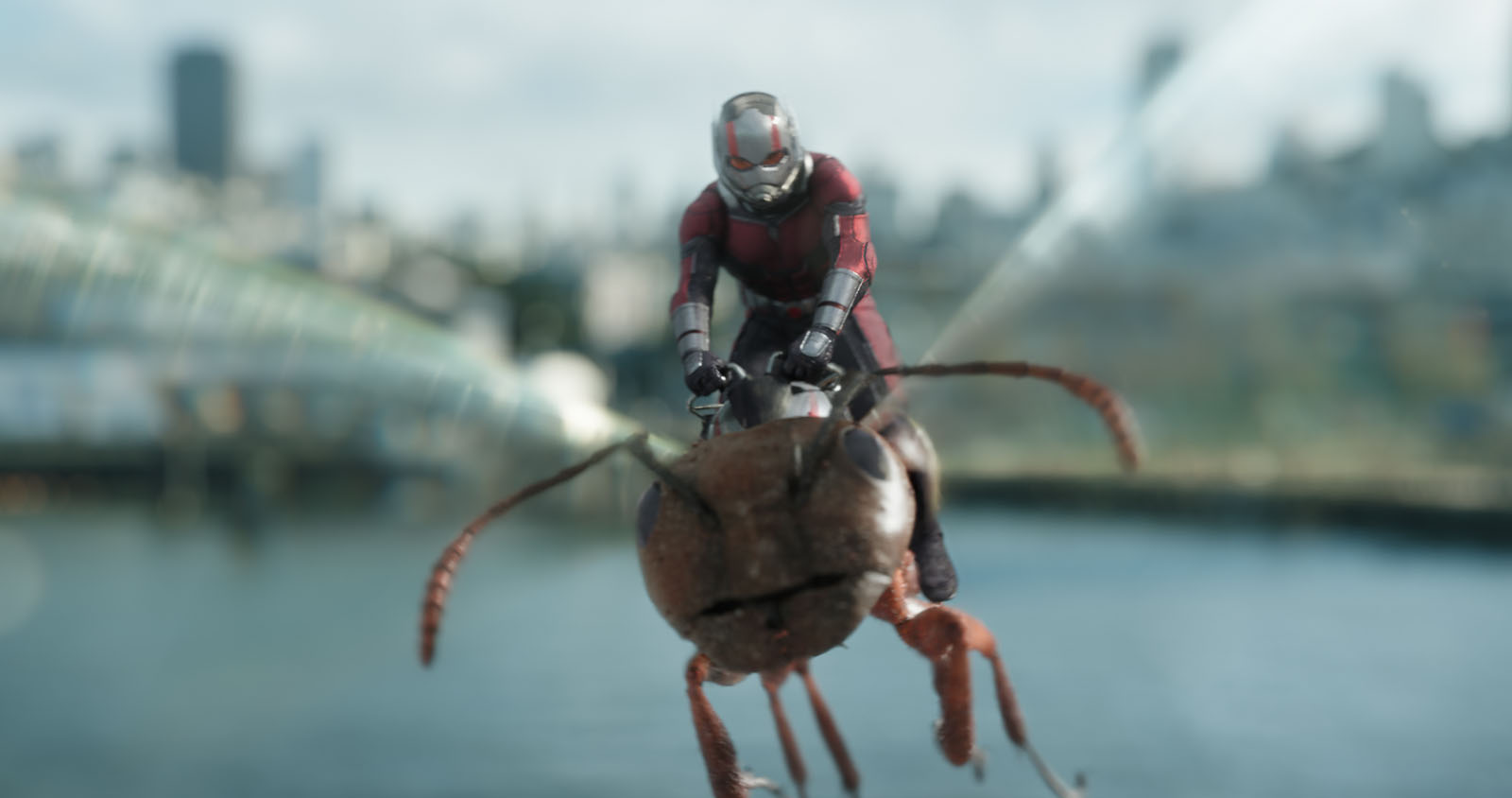 Avengers Endgame : découvrez les fourmis géantes de Ant-Man