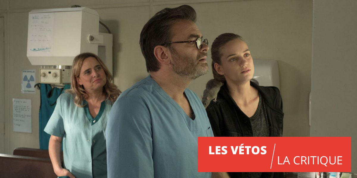 Les Vétos, retour aux sources