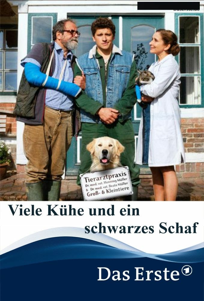 Viele Kühe und ein schwarzes Schaf