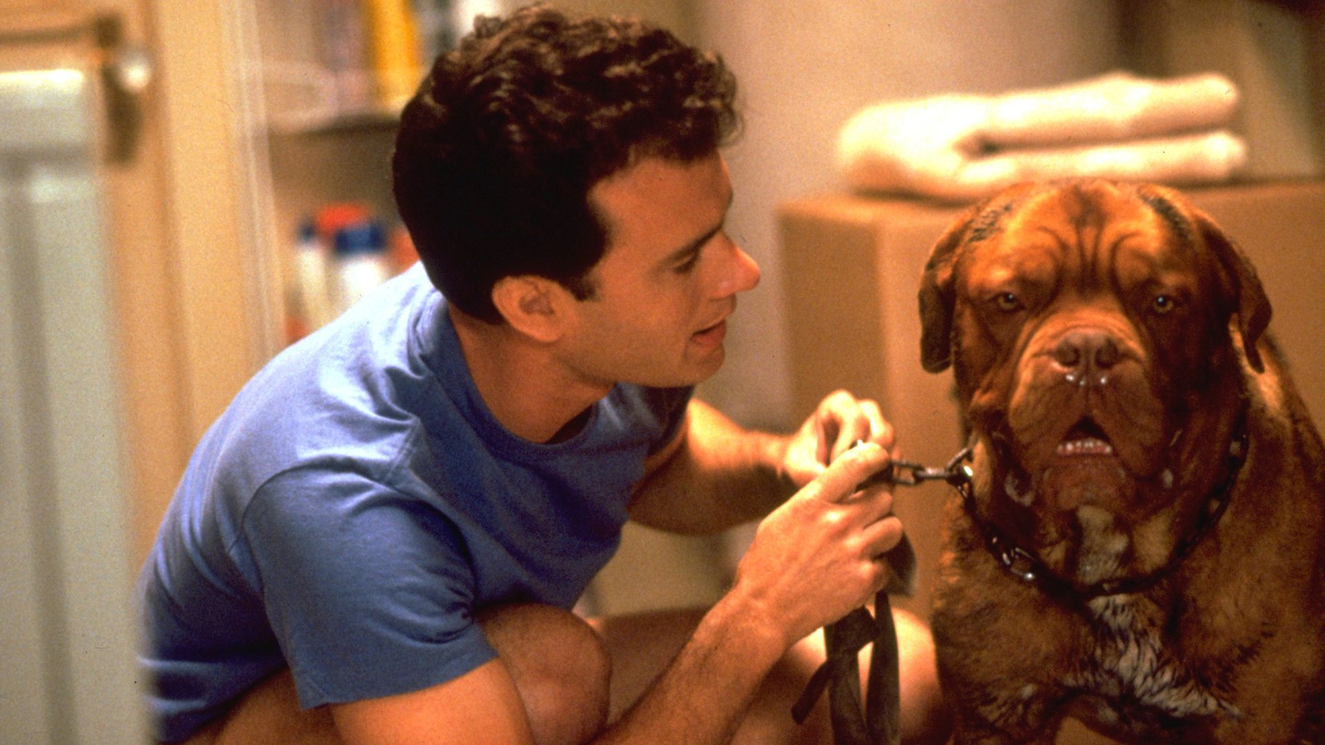 Turner & Hooch : le film avec Tom Hanks adapté en série sur Disney+