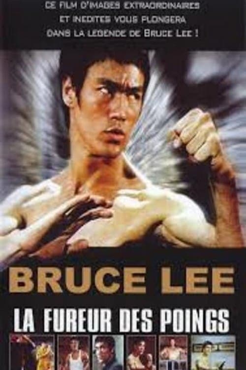 Bruce Lee : La Fureur des poings
