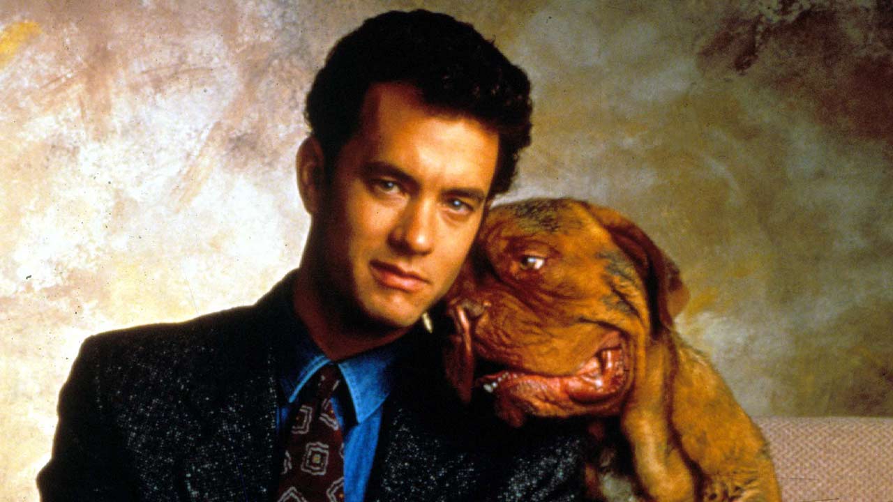 Turner et Hooch : voilà qui va reprendre le rôle de Tom Hanks dans la série Disney+