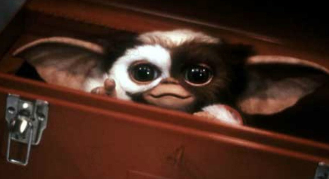 Joe Dante donne des nouvelles du préquel des Gremlins