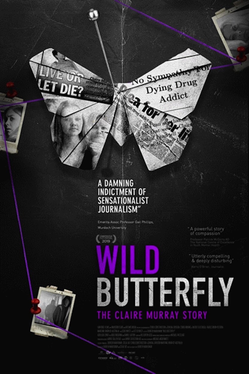 Wild Butterfly