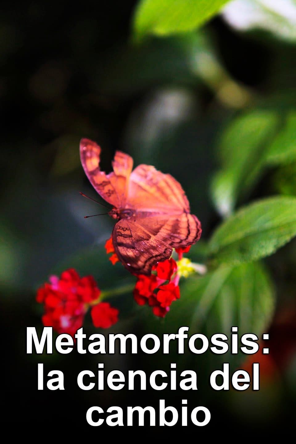 Metamorphosis: The Science of Change