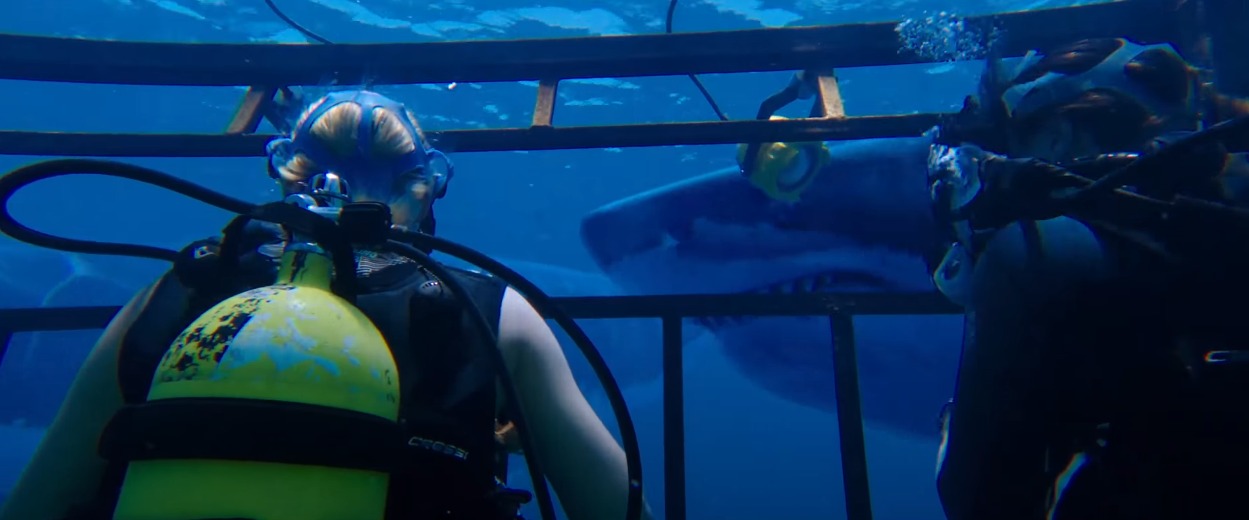 47 Meters Down : comment s'est déroulé le tournage dans l'eau ?